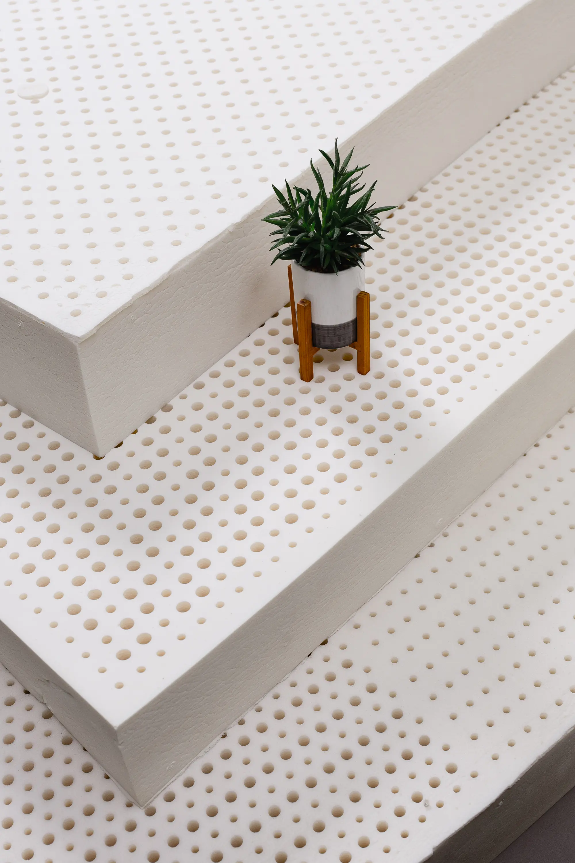Natural latex block close-up with a small plant beside it for scale